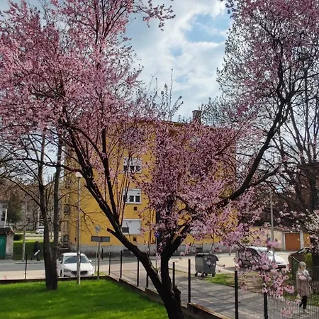 Fehervar Cappuccino Center, Ac, Easy Parking Appartamento Székesfehérvár