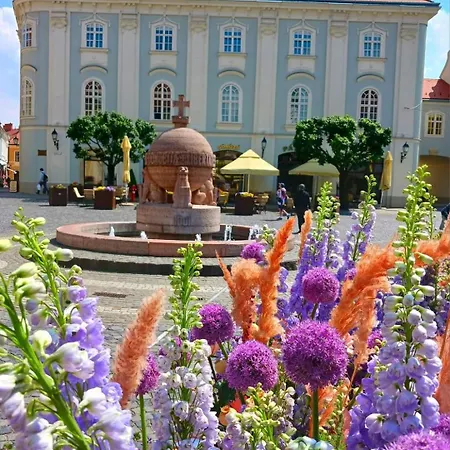 דירה Fehervar Cappuccino Center, Ac, Easy Parking *