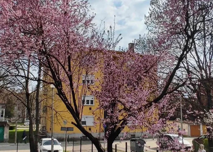 Fehervar Cappuccino Center, Ac, Easy Parking شقة Székesfehérvár