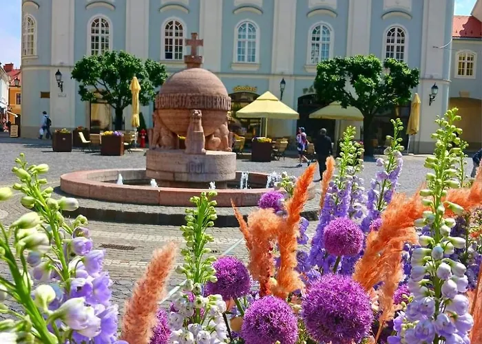 شقة Fehervar Cappuccino Center, Ac, Easy Parking *